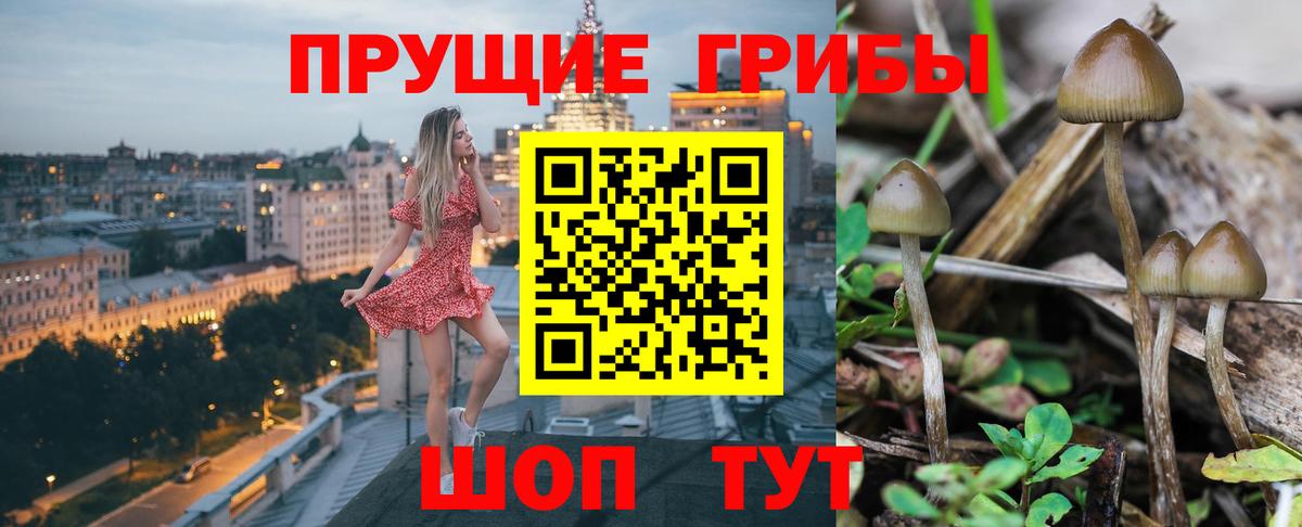 Калуга  купить  цена  Вход с VPN  Галлюциногенные грибы мицелий 